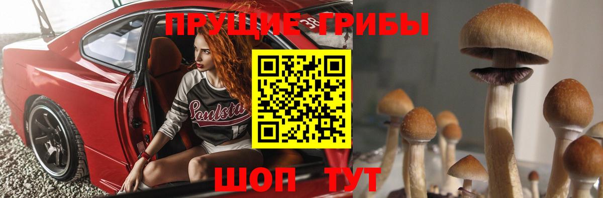 Псилоцибиновые грибы Psilocybe  Вход с VPN  Ипатово  Псилоцибиновые грибы GOLDEN TEACHER 